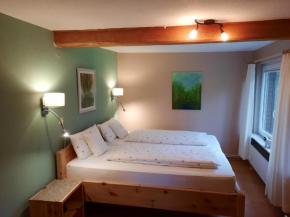 Ferienhaus zur wilster